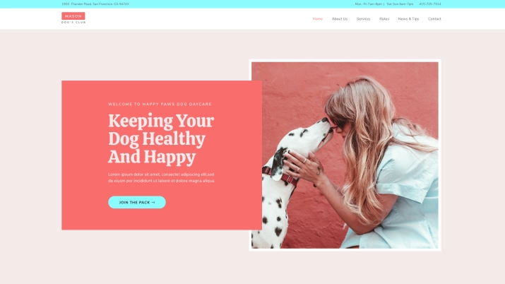 Pet Care Company Website Kit