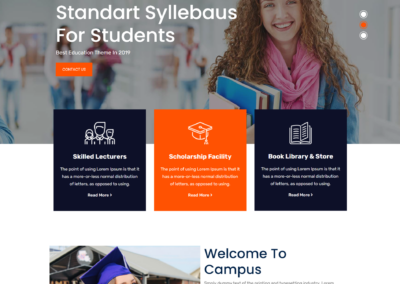 Standart Syllebaus For Students